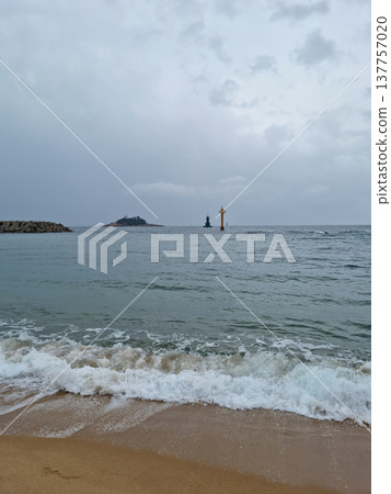 beach, coast, ocean 137757020