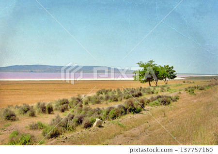 Lake Tuz Central Anatolia Turkey Pink Salt Landscape. Lake Tuz Central Anatolia Turkey Pink Salt Landscape. 137757160