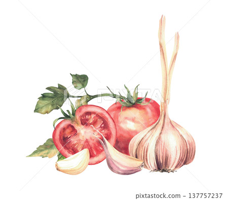 Tomatoes and garlic bulb with cloves with green leaves. Watercolor realistic vegetables for salads or preserving, farm food packaging, sauces, recipe. Hand drawn illustration isolated from background. Tomatoes and garlic bulb with cloves with green leaves. Watercolor realistic vegetables for salads or preserving, farm food packaging, sauces, recipe. Hand drawn illustration isolated from background. 137757237