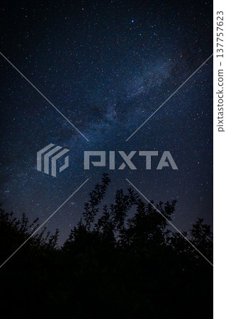 Bergnicourt, Rethel, Ardennes, Grand-Est, France, August, 28th, 2025, Dark vegetation silhouettes 137757623