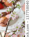 Cherry Blossom Afternoon Tea 137758040