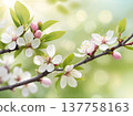 Spring blossom branch with white flowers and sunlight. Close-up of blooming tree branch with delicate blossoms and fresh green leaves in spring light. 137758163