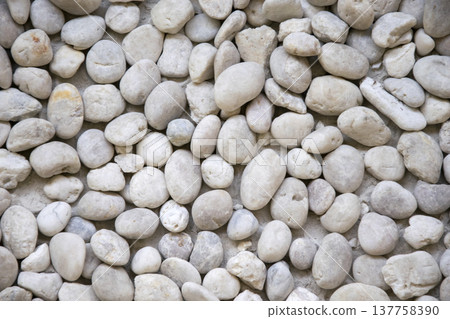 abstract background with dry round white stones abstract background with dry round white stones 137758390