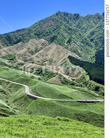 The fresh green foliage of Mount Nekodake stands out against the clear blue sky of May, offering a close-up view of the mountainside. (Hakoishi Pass/Aso City, Kumamoto Prefecture) 137759257