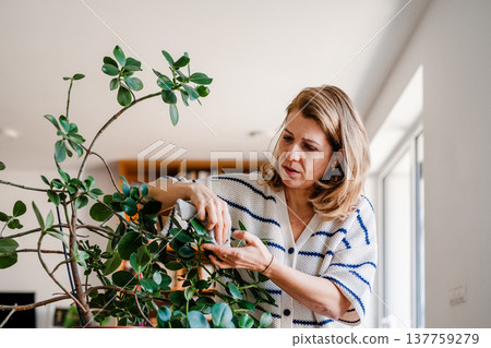 Middle aged woman caring for houseplant at home while practicing mindful self care. 137759279