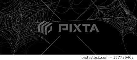Spider web abstract Halloween background Spider web abstract Halloween background 137759462