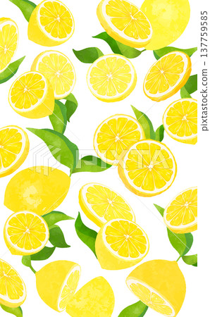 透明背景上散落著檸檬葉(直式版) 透明背景上散落著檸檬葉(直式版) 137759585