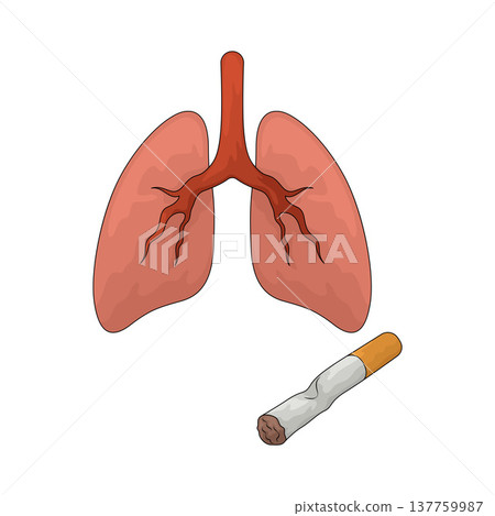 Illustration of Lungs with Cigarette Illustration of Lungs with Cigarette 137759987