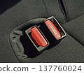 Two seat belt buckles lined up in the back seat of the car 137760024