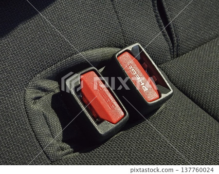 汽車後座並排擺放著兩個安全帶扣環。 137760024