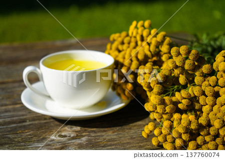 A white cup filled with healthy tansy tea sits on a wooden tray in close-up. This herbal infusion is known for its choleretic and antispasmodic properties. 137760074