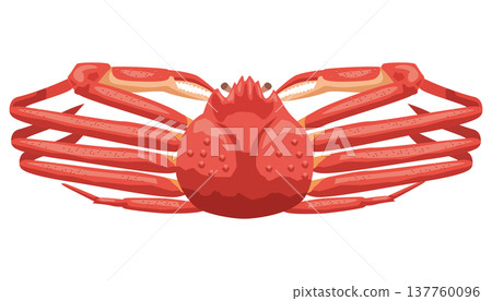 A simple illustration of a snow crab. 137760096