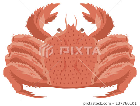 一隻毛蟹的簡單插圖。 137760101