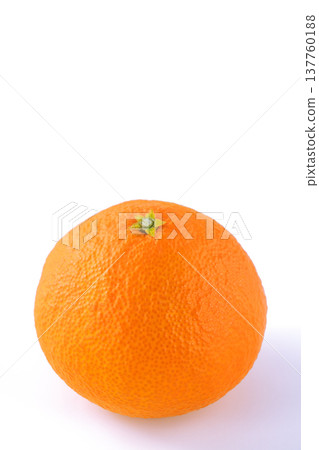 Beni Madonna - Mandarin oranges from Ehime Prefecture Beni Madonna - Mandarin oranges from Ehime Prefecture 137760188