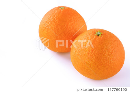 Beni Madonna - Mandarin oranges from Ehime Prefecture 137760190
