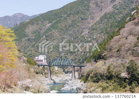 The Yoshino River Bridge in Oboke and Koboke during cherry blossom season. The Yoshino River Bridge in Oboke and Koboke during cherry blossom season. 137760214