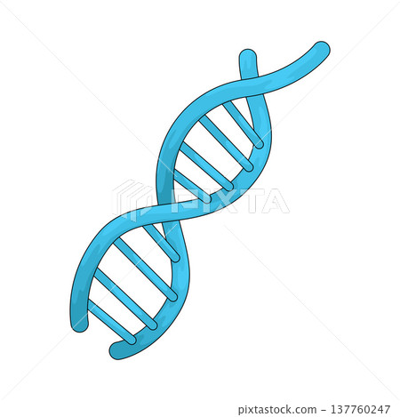 Illustration of DNA Illustration of DNA 137760247