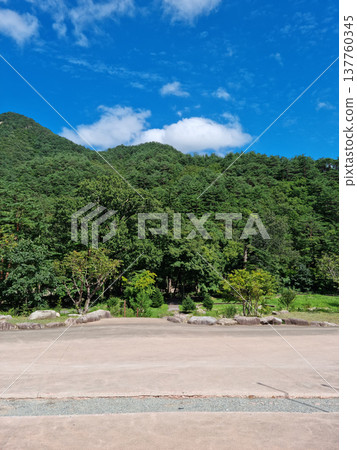 forest, landscape, mountain 137760345