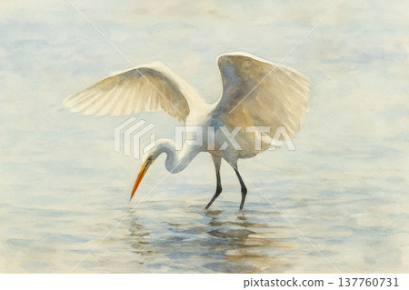 egret hunting 137760731