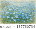 Nemophila 137760734