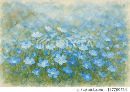 Nemophila 137760734
