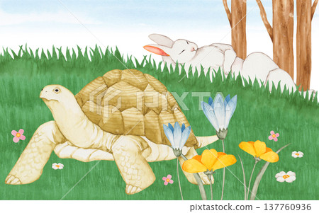 伊索寓言第二版：龜兔賽跑 - 水彩插畫 137760936