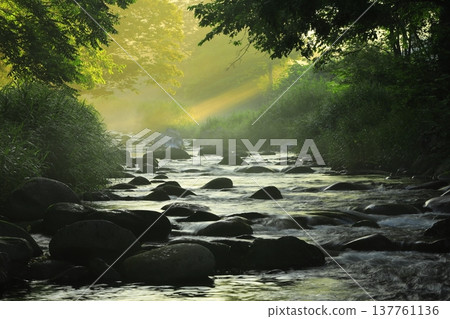 A clear stream flowing through the greenery A clear stream flowing through the greenery 137761136