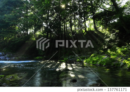 一條清澈的小溪流過綠地 一條清澈的小溪流過綠地 137761171