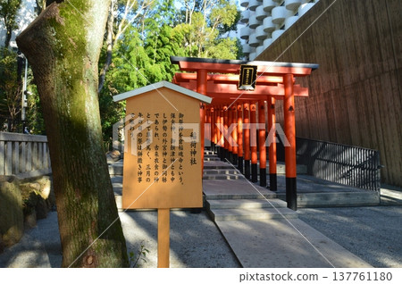 Red-painted torii (Inari Shrine / Ikuta Shrine precincts / Chuo-ku, Kobe City, Hyogo Prefecture) 137761180