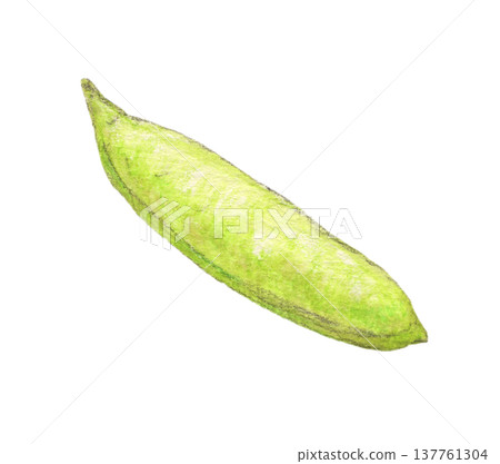 綠色豌豆莢 - 水彩鉛筆畫 綠色豌豆莢 - 水彩鉛筆畫 137761304