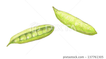 藍豆 - 水彩鉛筆插畫 藍豆 - 水彩鉛筆插畫 137761305