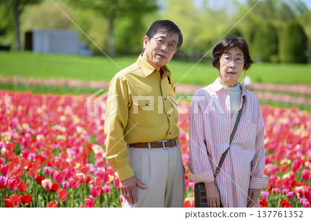 Senior couple taking a commemorative photo in a field of blooming tulips (enhanced retouching) Senior couple taking a commemorative photo in a field of blooming tulips (enhanced retouching) 137761352