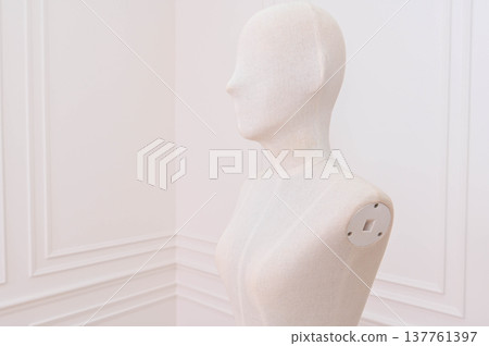 Classic white mannequin bust, serene tailor dummy for fashion design, stands in an elegant studio. minimal and anonymous form against clean background Classic white mannequin bust, serene tailor dummy for fashion design, stands in an elegant studio. minimal and anonymous form against clean background 137761397
