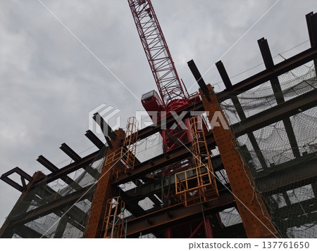 Crane Crane 137761650