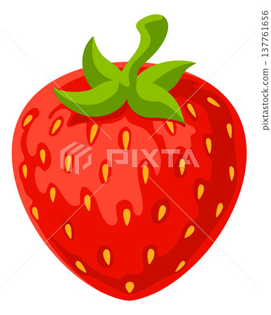 Strawberry Fresh Red Fruit Illustration 137761656