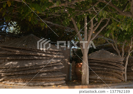 stack of woven straw beach umbrella roofs piled up after summer season closing on tropical resort stack of woven straw beach umbrella roofs piled up after summer season closing on tropical resort 137762189