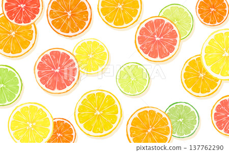 Sliced citrus fruit with transparent background (horizontal) 137762290