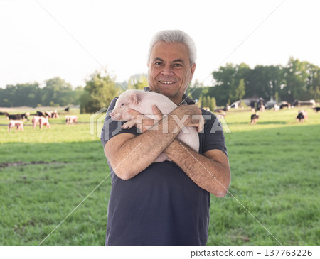young pig and man 137763226