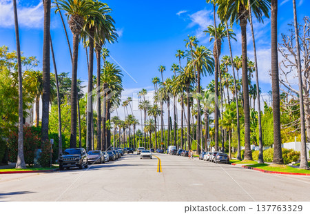 洛杉磯比佛利山莊住宅區 137763329