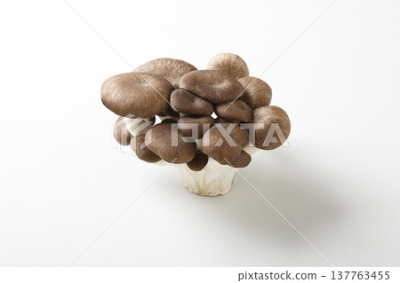 小米小米 137763455