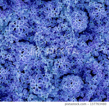 Floral spring background. Vintage watercolor background of lilac flowers.  Close-up. Nature. 137763480