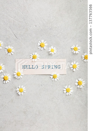 Hello Spring Card with Chamomile Daisies on Minimal Background 137763566