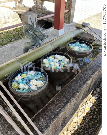 花水 花水 137763709