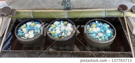 花水 137763713