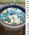 花水 137763714