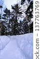 Walking on a snowy road 137763769