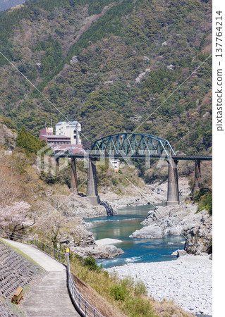 The Yoshino River Bridge in Oboke and Koboke during cherry blossom season. The Yoshino River Bridge in Oboke and Koboke during cherry blossom season. 137764214