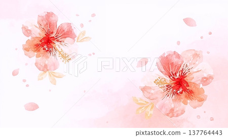 柔和色調的熱帶芙蓉花背景 137764443