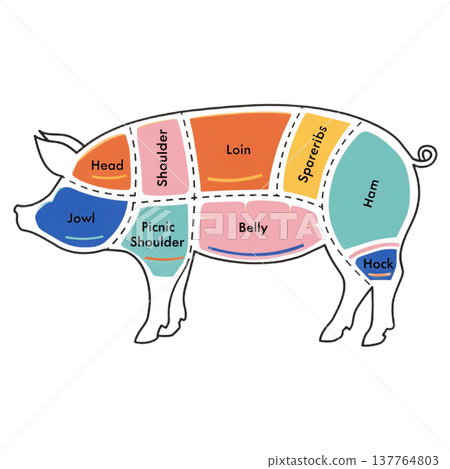 Pig meat cuts infographic showing head jowl shoulder picnic shoulder loin belly spareribs ham and hock sections in colorful design Pig meat cuts infographic showing head jowl shoulder picnic shoulder loin belly spareribs ham and hock sections in colorful design 137764803