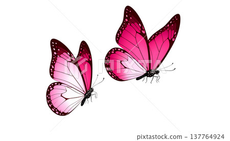 A beautiful blue and black long-tailed butterfly with vibrant wings stands out against a white background. A beautiful blue and black long-tailed butterfly with vibrant wings stands out against a white background. 137764924